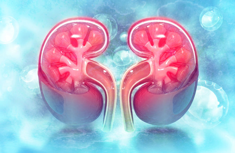 renal