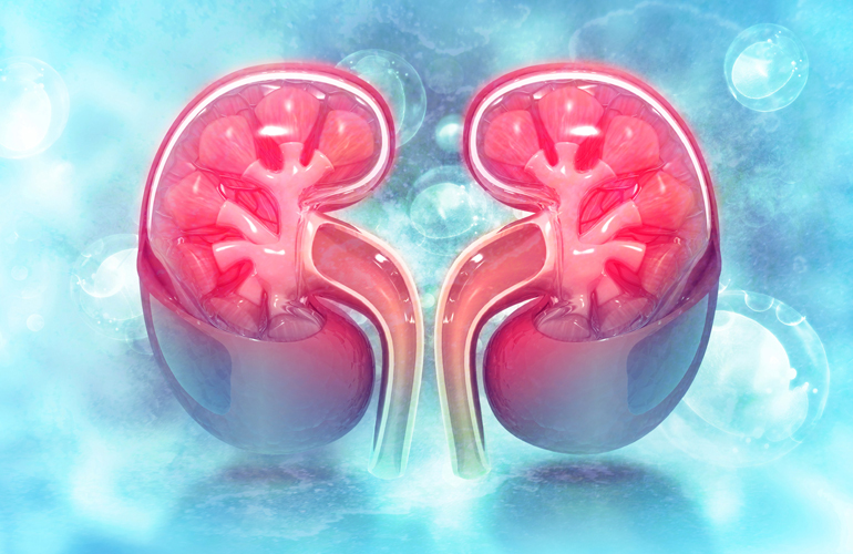 renal