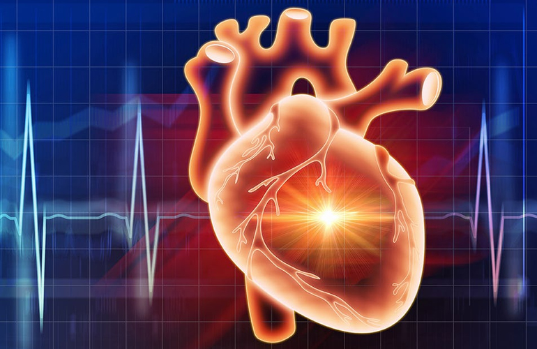 cardiovascular