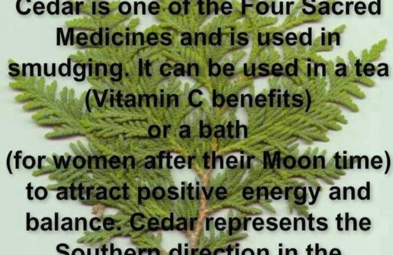 hair-loss-treatment