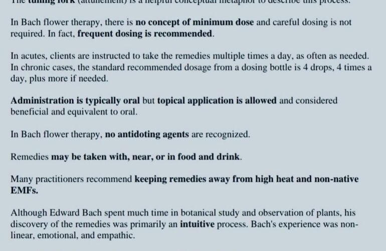 bach Flower Remedies
