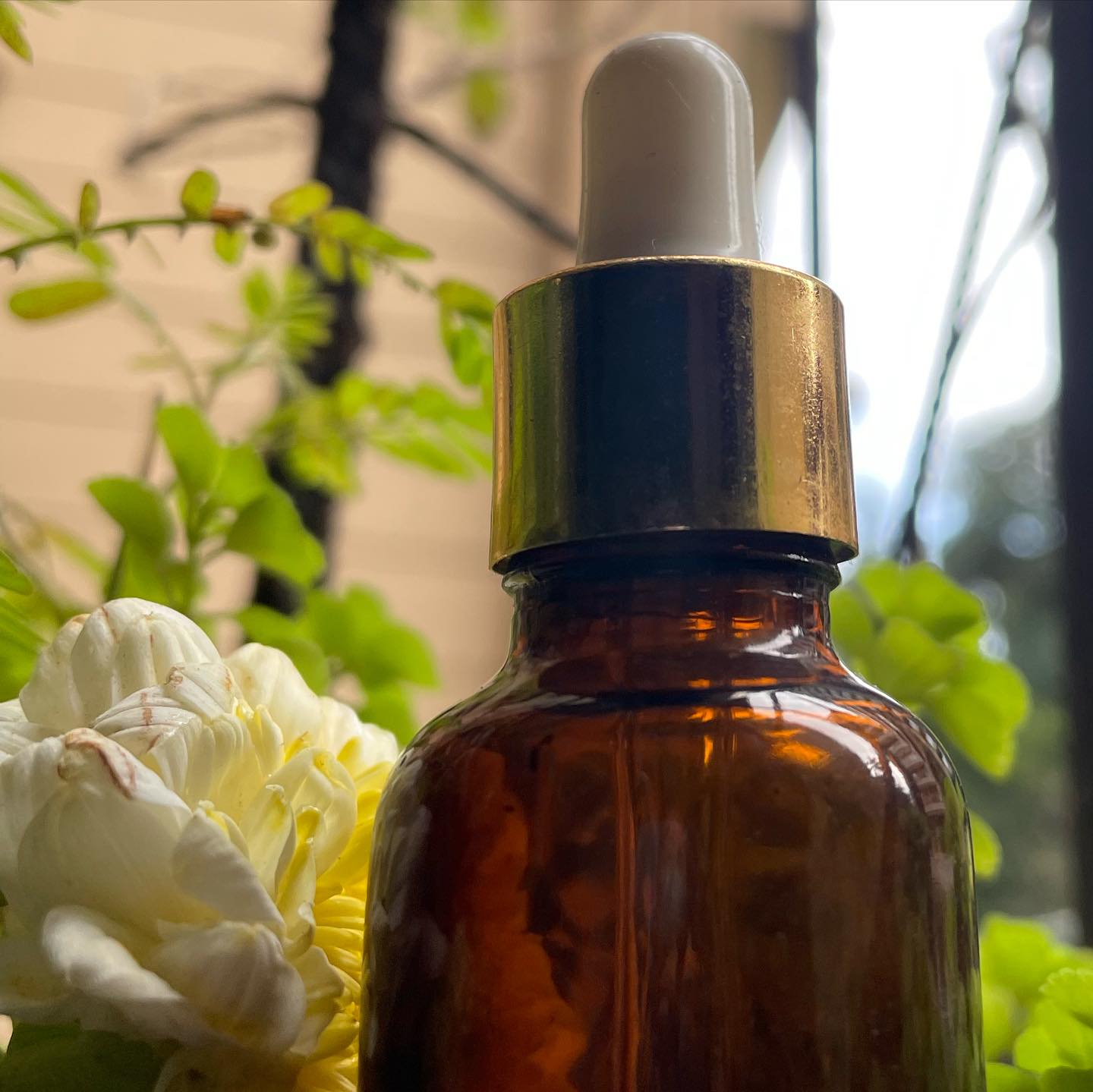 Wonder Oil For Growth Repair Of Eyelashes & Eyebrows
