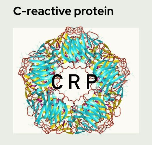 CREACTIVE PROTEIN