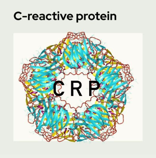 CREACTIVE PROTEIN