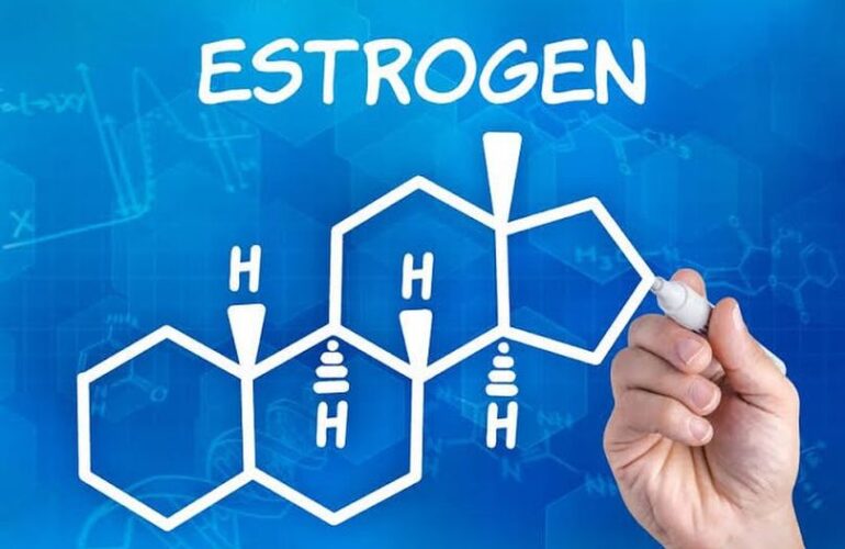 Estrogen