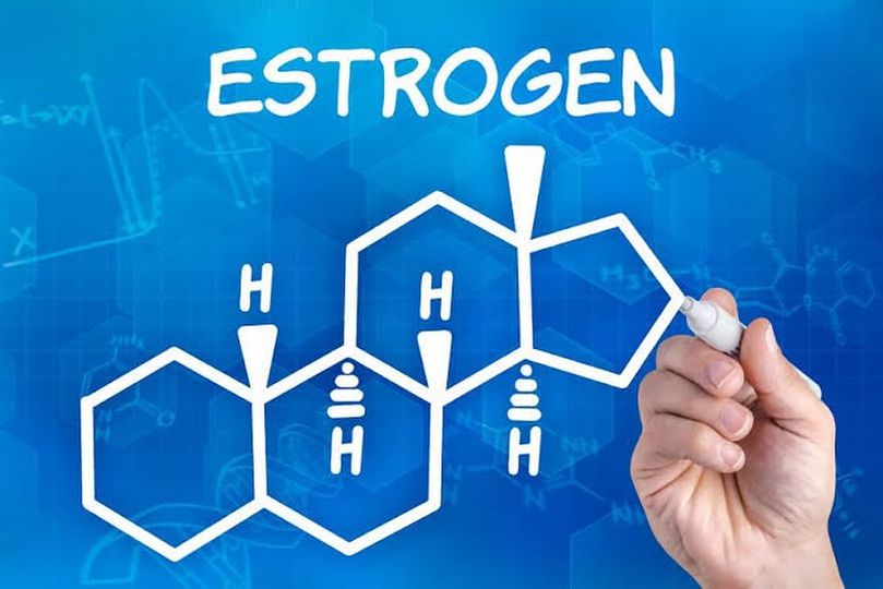 Estrogen