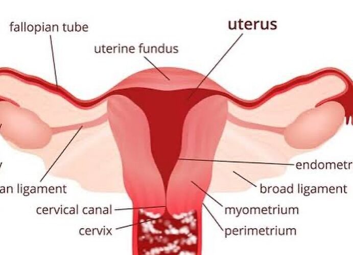 Vaginal infection