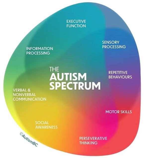 AUTISM SPECTRUM.